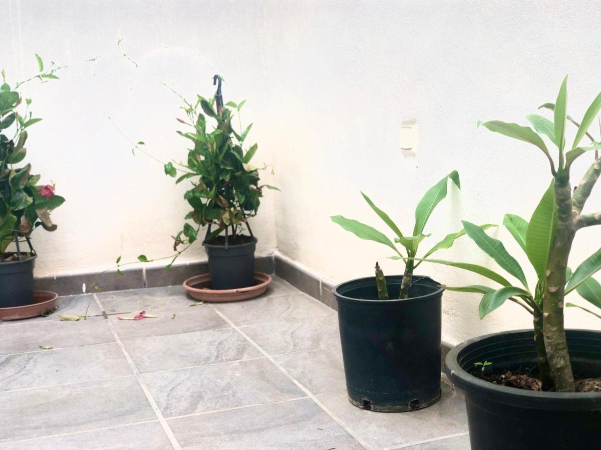Varela Apartamentos B Малага Экстерьер фото